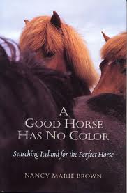 A Good Horse Has No Color
